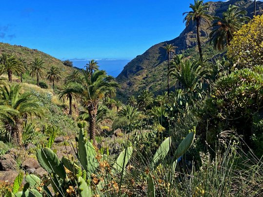 Barranco de Guarimar & Benchijigua La Gomera - Canaries - Espagne